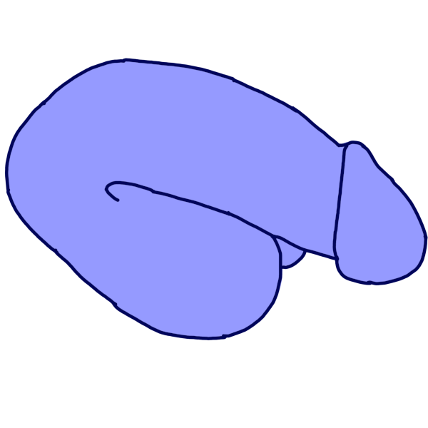 A simple drawing of a realistic packer. The packer looks like a penis with a defined head. The packer is colored light purple and outlined in dark blue.